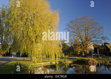 In autunno gli alberi intorno al laghetto nel villaggio di Otford Kent England Foto Stock