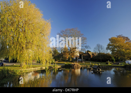 In autunno gli alberi intorno al laghetto nel villaggio di Otford Kent England Foto Stock