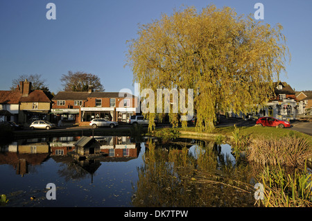 In autunno gli alberi intorno al laghetto nel villaggio di Otford Kent England Foto Stock