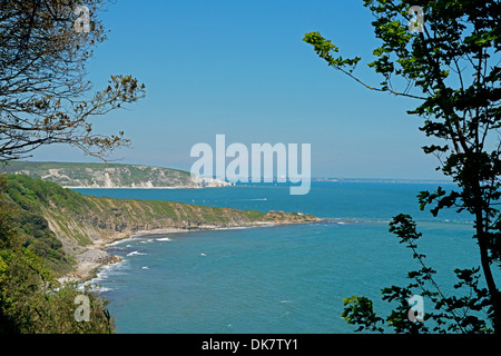 Guardando attraverso verso Swanage Bay da Durlston Country Park, (Isola di Purbeck), Dorset, England, Regno Unito Foto Stock