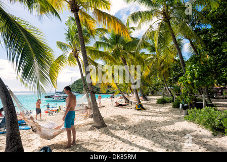 Le amache sono frapposte tra le palme sulla spiaggia di sabbia di fronte al Soggy Dollar Bar a White Bay su Jost Van Dyke nelle Isole Vergini Britanniche. Conosciuta per la sua variegata vita marina e le barriere coralline, la regione caraibica vanta alcuni dei paesaggi marini più belli e ben conservati del mondo. Foto Stock