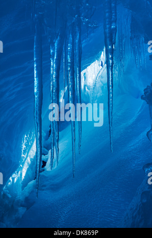 L'Antartide, ghiaccioli pendenti dal tetto di ghiaccio del ghiacciaio grotta di stretto di Gerlache lungo la Penisola Antartica Foto Stock