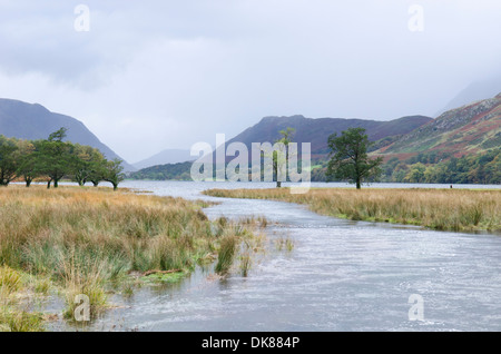 Vista da ovest dove Warnscale Beck entra Buttermere. Cumbria, nel distretto del lago, UK. Ottobre. Foto Stock