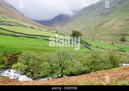 Hayeswater Gill che fluisce nella parte anteriore di un fienile. Fondo di pascolo e pascolo Beck dietro il fienile. Vicino Hartsop, Cumbria Ottobre Foto Stock