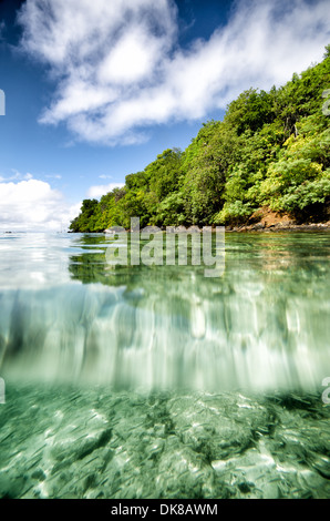 Maho Bay Spalato Vista sottomarina St John Isole Vergini americane // ST JOHN, Isole Vergini americane - Uno scatto diviso che mostra le viste subacquee e sopra l'acqua a Maho Bay a St John nelle Isole Vergini americane. Maho Bay fa parte del Parco Nazionale delle Isole Vergini, conosciuto per le sue acque cristalline e la variegata vita marina. L'immagine cattura la transizione tra il paesaggio della spiaggia tropicale e il vibrante ecosistema sottomarino. Foto Stock