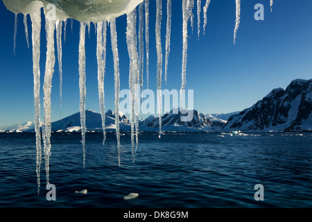 L'Antartide, Petermann Island, ghiaccioli pendono dalla fusione iceberg vicino al canale di Lemaire Foto Stock