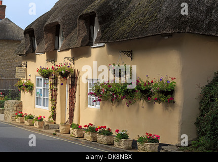 Graziosi fiori al di fuori di un tetto di paglia cottage in West Lulworth, Dorset Foto Stock