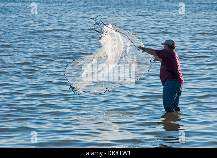 Fisherman netting esca in Mississippi Sound a Ocean Springs sulla costa del Golfo. Foto Stock