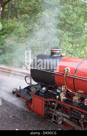 Immagini da Ravenglass-Eskdale miniatura ferrovie a vapore nel Lake District, Cumbria, England, Regno Unito Foto Stock