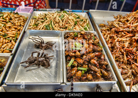 Insetti fritto per la vendita al mercato notturno di Chiang Mai, Thailandia Foto Stock