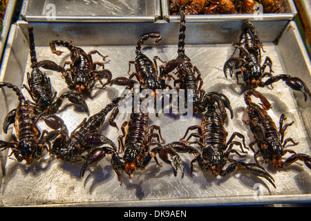 Gli scorpioni fritti in vendita al mercato notturno di Chiang Mai, Thailandia Foto Stock