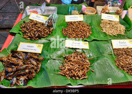 Insetti fritto per la vendita al mercato notturno di Chiang Mai, Thailandia Foto Stock