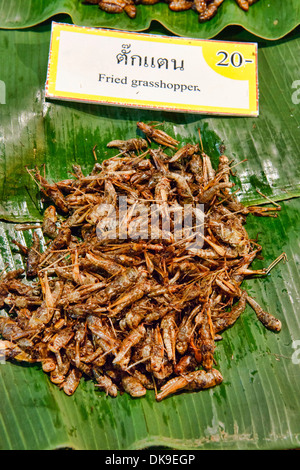 Cavallette fritte per la vendita al mercato notturno di Chiang Mai, Thailandia Foto Stock