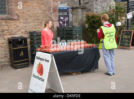 Ox- Roast Festival in Ledbury High Street Foto Stock