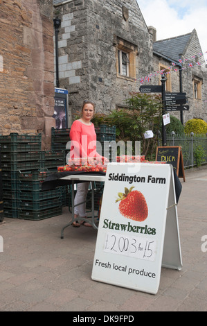 Ox- Roast Festival in Ledbury High Street Foto Stock