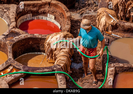 Il Chouwara (Chouara) conceria, la Medina di Fez, Marocco Foto Stock