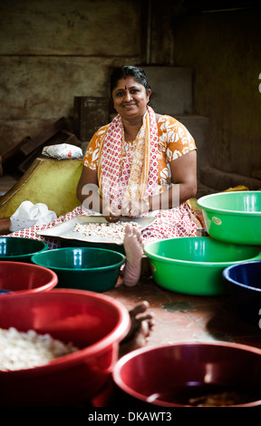 La pelatura di acagiù a mano. Quilon, India Foto Stock