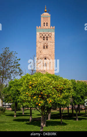 La Moschea di Koutoubia e giardini, Marrakech, Marocco Foto Stock