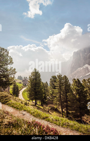 Vista Valle, Corvara Alta Badia Alto Adige, Italia Foto Stock