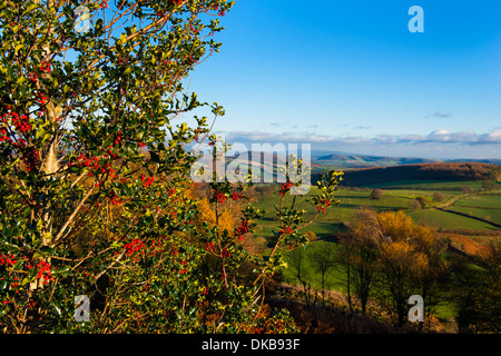 South Shropshire campagna da Bury Fossati Iron Age Fort hill, Inghilterra Foto Stock