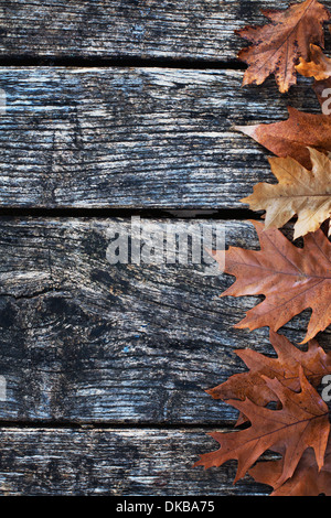 In autunno o sfondo di ringraziamento Foto Stock