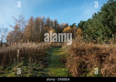 Pow Hill Country Park Foto Stock