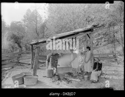 In basso bollente sorgo al Stooksberry homestead vicino Andersonville, Tennessee. 532646 Foto Stock