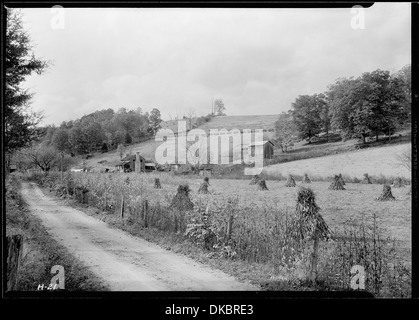 Il Stooksberry homestead vicino Andersonville, Tennessee. Questa terra sarà sommersa dal Norris Dam serbatoio. 532645 Foto Stock