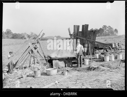 Fino a metodo di data di fabbricazione di melasso nella fattoria di Fred cappellaio. Questa azienda agricola sarà sotto l'acqua quando la Norris diga... 532656 Foto Stock