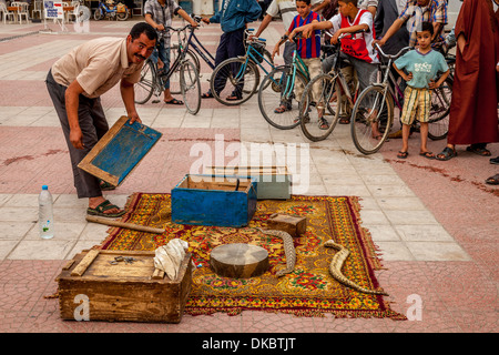 Il serpente Incantatore, Place Assarag, Taroudant, Marocco Foto Stock