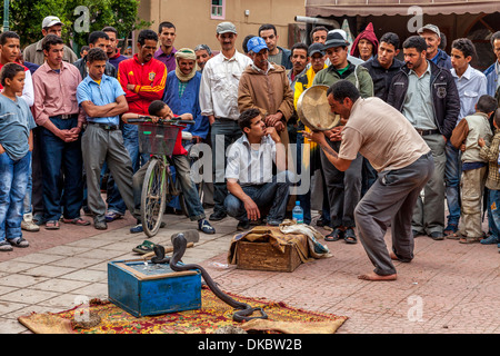 Il serpente Incantatore, Place Assarag, Taroudant, Marocco Foto Stock