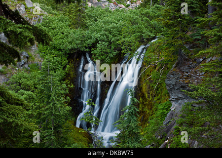 OREGON - cascata lungo la Pacific Crest Trail a nord di Timberline e a ZigZag Canyon nel Monte Cofano Wilderness area. Foto Stock