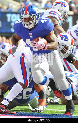 16 ottobre 2011 - East Rutherford, New Jersey, Stati Uniti - New York Giants running back Ahmad Bradshaw (44) precipita per un touchdown a Met Life Stadium di East Rutherford in New Jersey Buffalo e New York sono legate da 17 a 17 al tempo di emisaturazione (credito Immagine: © Brooks von Arx/Southcreek/ZUMAPRESS.com) Foto Stock