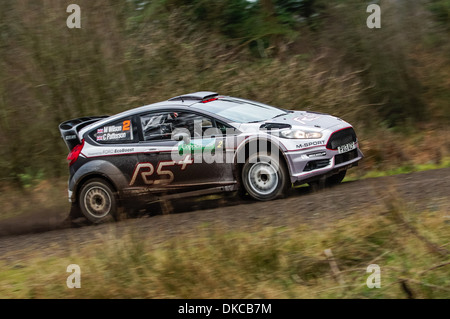 Matthew Wilson - Ford Fiesta R5 Foto Stock