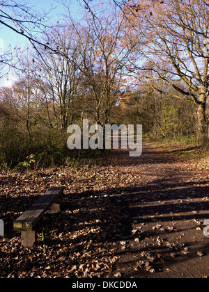 Wheelock Rail Trail è un ferroviarie dismesse ora linea sentiero pubblico e parte del ciclo nazionale rete in Sandbach CHESHIRE REGNO UNITO Foto Stock