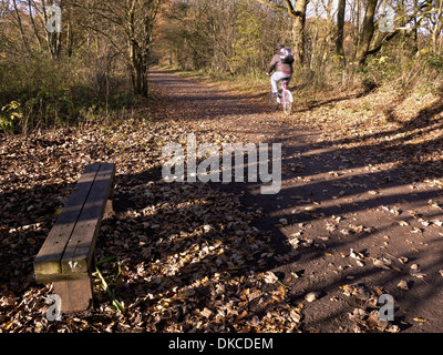 Wheelock Rail Trail è un ferroviarie dismesse ora linea sentiero pubblico e parte del ciclo nazionale rete in Sandbach CHESHIRE REGNO UNITO Foto Stock