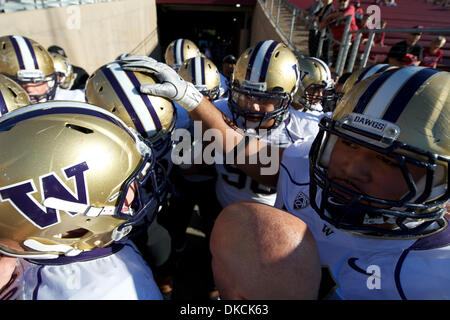 Ottobre 22, 2011 - Stanford, in California, Stati Uniti - Washington giocatori huddle la prima il NCAA Football gioco tra la Stanford il cardinale e la Washington Huskies presso la Stanford Stadium di Stanford, CA. Stanford instradato Washington 65-21. (Credito Immagine: © Matt Cohen/Southcreek/ZUMAPRESS.com) Foto Stock