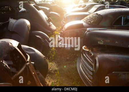 Vintage auto abbandonate nel cantiere di scarto Foto Stock