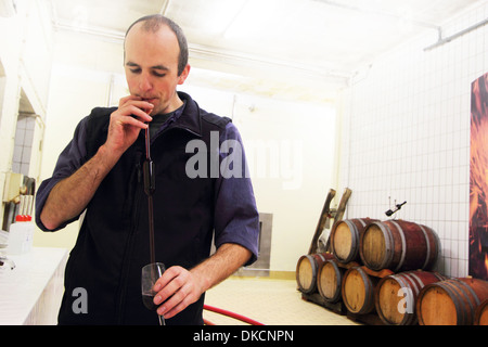 Enologo degustazione di vino industriale in cantina Foto Stock