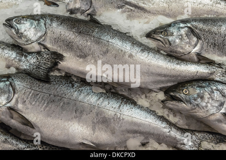 Wild salmone King catturato vicino a Vancouver Island, per la vendita in un pescivendolo spazio in Pike Place Market, Seattle, nello Stato di Washington Foto Stock