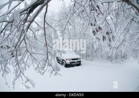 Una coperta di neve auto si siede sotto un baldacchino di pesantemente coperta di neve alberi dopo una bufera di neve Foto Stock