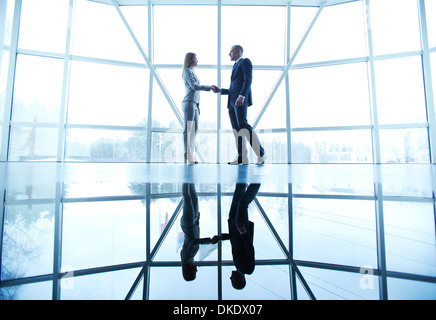 Immagine di imprenditore di successo e imprenditrice handshaking dopo la sorprendente trattare sullo sfondo della finestra Foto Stock