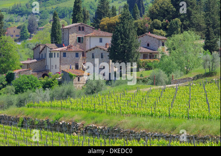 Panzano in Chianti 06 Foto Stock