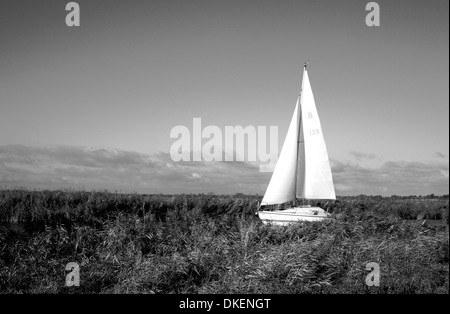 Un yacht a vela su Norfolk Broads a Thurne, Norfolk, Inghilterra, Regno Unito. Foto Stock