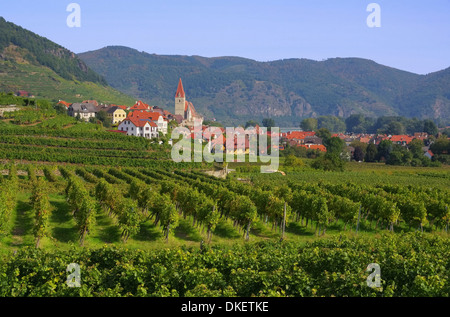 Weissenkirchen in der Wachau - Weissenkirchen nella Wachau 06 Foto Stock