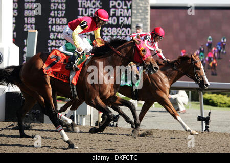 Giu 21, 2009 - Toronto, Ontario, Canada - Occhio di Leopard (7) e jockey EURICO ROSA DA SILVA vincere il centocinquantesimo Queens piastra Domenica a Woodbine Racetrack a Toronto, Ontario in Canada. (Credito Immagine: © Anson appeso/Southcreek globale/ZUMA Press) Foto Stock