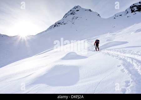 Ski tourer su per la salita al Monte Ellesspitze in Pflerschtal valle Wipptal Valle, Alto Adige, Trentino Alto Adige, Italia Foto Stock