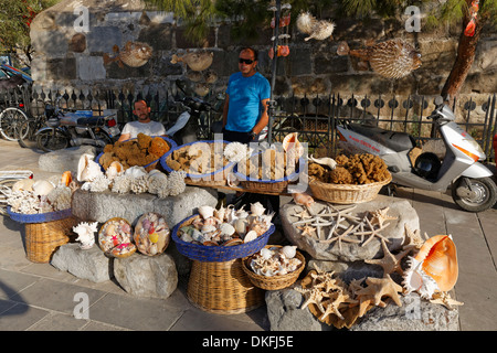 Pressione di stallo di mercato la vendita di spugne, coralli e conchiglie, Bodrum, Muğla Provincia, Egeo, Turchia Foto Stock