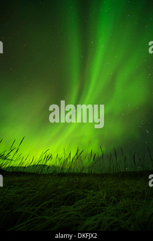 Aurora boreale su College Fjord, Prince William Sound, Alaska Foto Stock