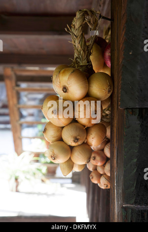 Treccia di cipolle, Svizzera Foto Stock